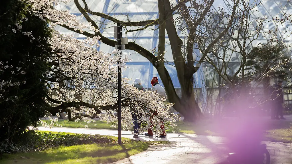 Am-Wochenende-bleibt-das-Wetter-in-NRW-fruehlingshaft-Nur-die-Naechte-werden-noch-frostig