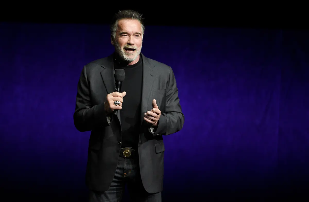 21010019b476c344c81325ebe8526d43