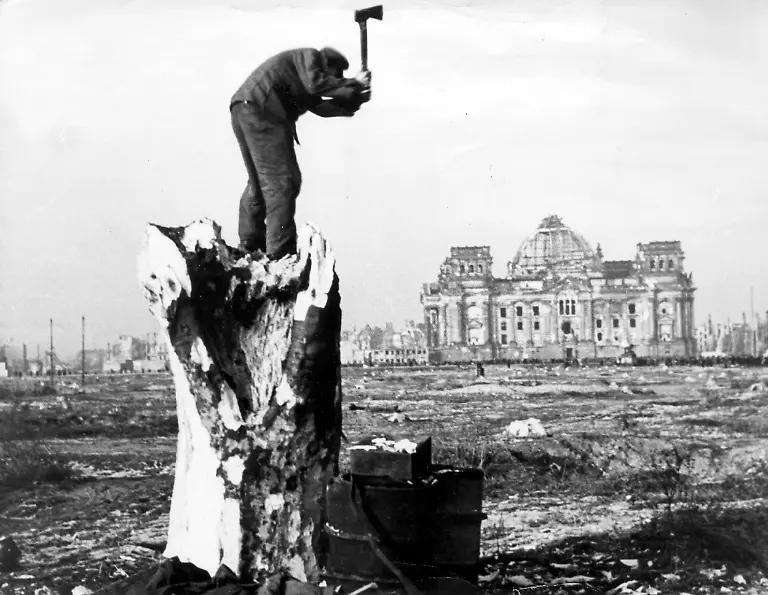 1001150-9002126-Nachkriegszeit-Not-in-Deutschland-im-Jahre-1947-Berlin-ein-Mann-zerhakt-einen-Baumstamm-im-abgeholzen-Tiergarten-Hintergrund-der-Reichstag