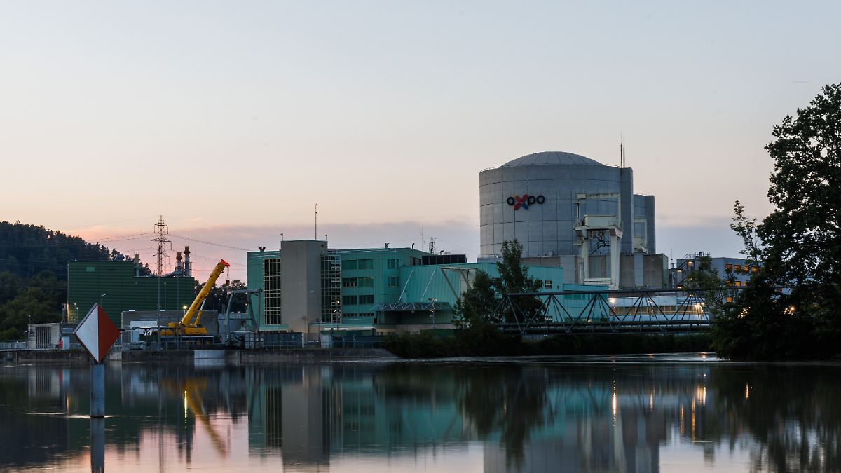 "Minireaktoren sind technisch gesehen zu klein, ineffizient und teuer"