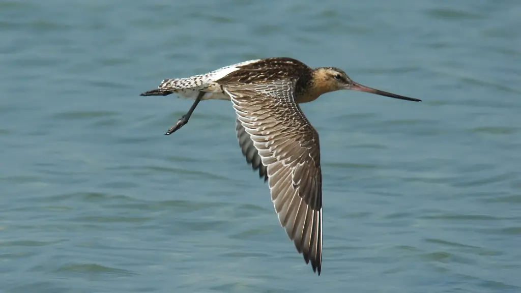 9167c250a688980a58ebe13237f43f2f