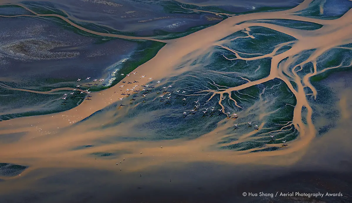 The-most-beautiful-scenery-Hua-Shang-Aerial-Photography-Awards