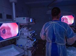 Mecklenburg-Vorpommern: Per Kamera dem Darmkrebs auf der Spur - schon vor Entstehung