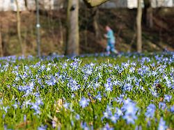 Hessen: Sonniger Sonntag und milder Wochenstart in Hessen