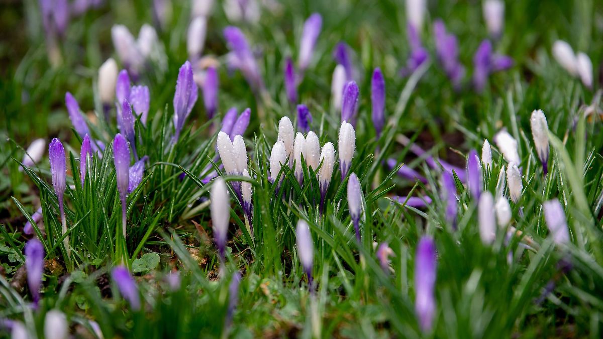 Nach mildem Wochenstart wieder kälter in Niedersachen