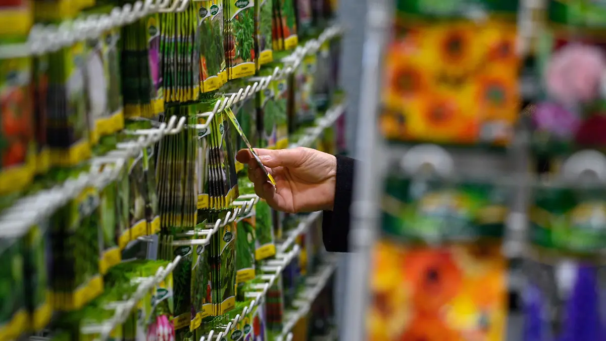 Beginn der Pflanzsaison: Aussaat planen: Sieben Tipps für die eigene Anzucht