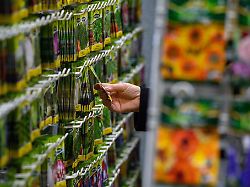 Beginn der Pflanzsaison: Aussaat planen: Sieben Tipps für die eigene Anzucht