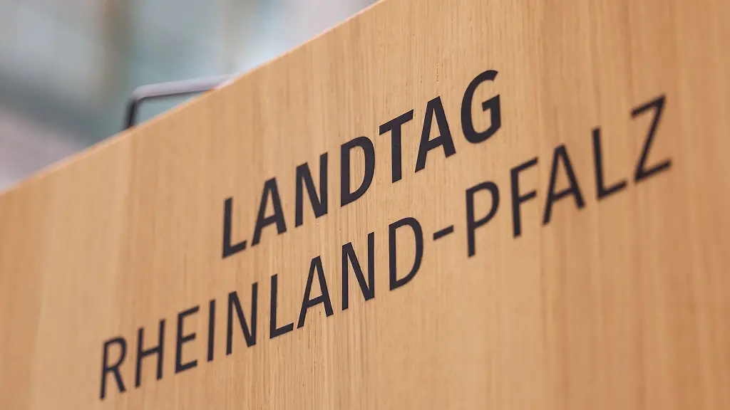 Einige-junge-Abgeordnete-ziehen-in-den-neugewaehlten-Landtag-ein