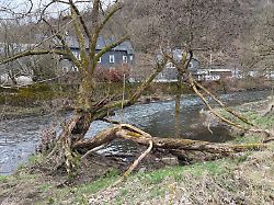 Sturz in Fluss: Dreijähriger stirbt nach Unglück bei Kita-Ausflug
