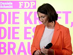 Rheinland-Pfalz & Saarland: Schmitt zieht sich von FDP-Landesspitze zurück