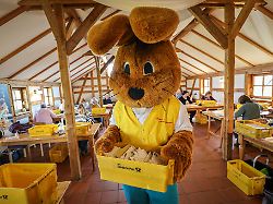 Niedersachsen & Bremen: Post an "Hanni Hase" - wie schreibe ich dem Osterhasen?