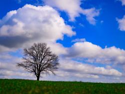 Berlin & Brandenburg: Erst sonnig, dann stürmisch und nass
