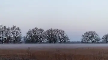 582788594