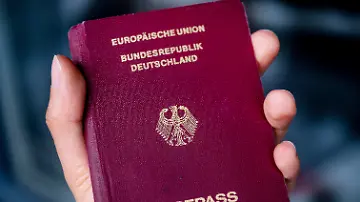273934261