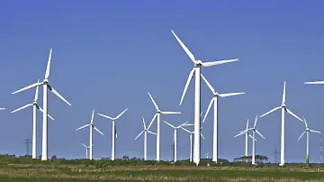 496177325