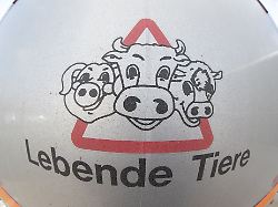 Niedersachsen & Bremen: Ministerium verbietet Tiertransporte in Kriegsregionen