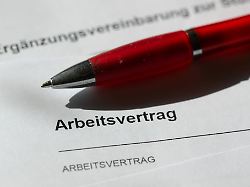 Sachsen-Anhalt: Welche Berufsgruppen in Sachsen-Anhalt am meisten verdienen