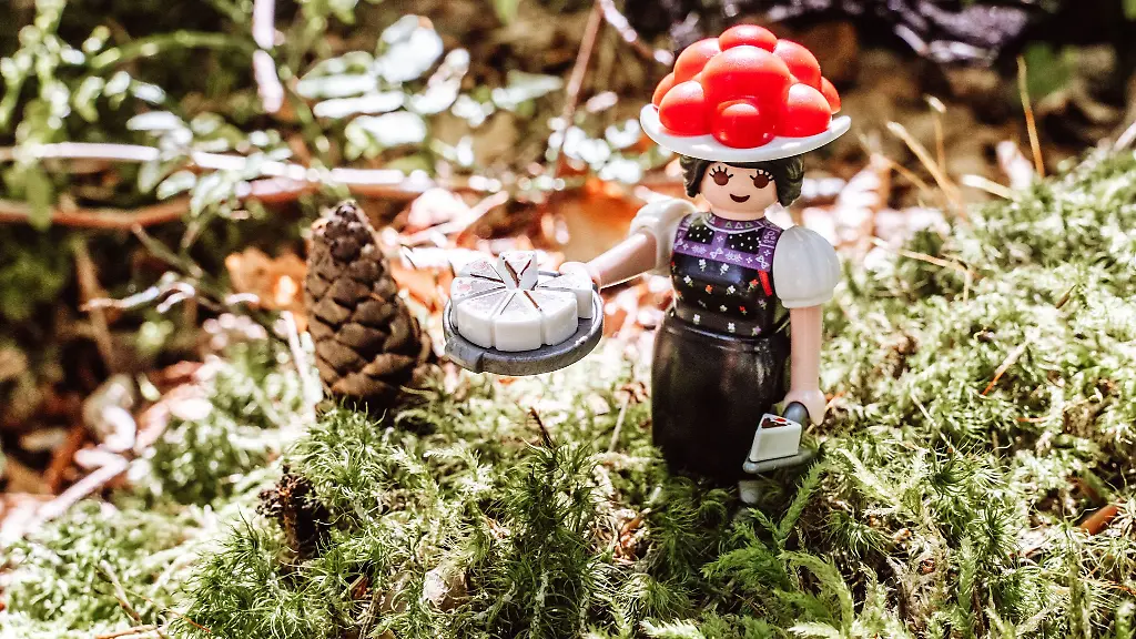 Ein-Ehemann-fuer-die-Schwarzwald-Marie-ist-gefunden