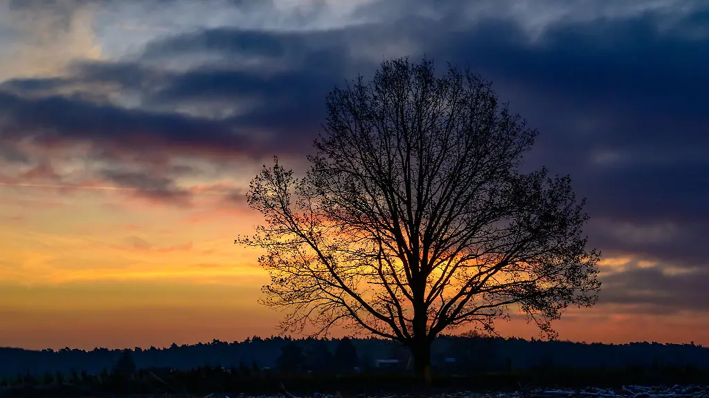 Dicke-Regenwolken-ziehen-in-den-naechsten-Tagen-immer-wieder-ueber-Berlin-und-Brandenburg