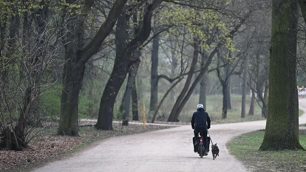 Wolken-Schneeschauer-und-wenig-Sonne-Das-Wetter-in-Hessen-zeigt-sich-die-naechsten-Tage-von-seiner-wechselhaften-Seite-Archivbild