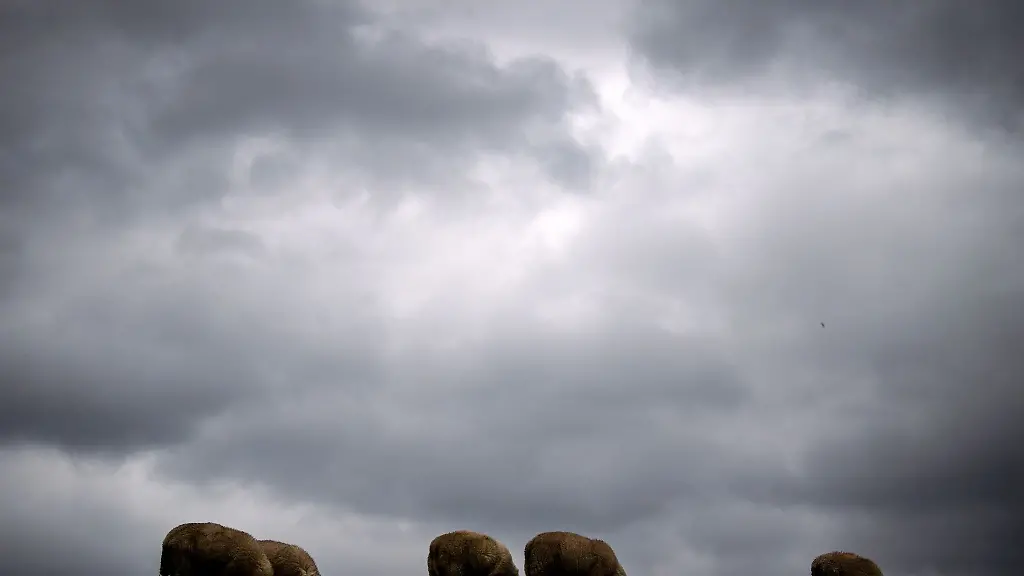 In-Niedersachsen-und-Bremen-bleibt-es-bewoelkt-Am-Freitag-kann-fuer-laengere-Zeit-die-Sonne-rauskommen
