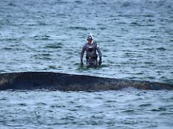 Komplexe Annäherung: Wal gibt lautes Schnauben von sich - Bagger nähern sich peu à peu