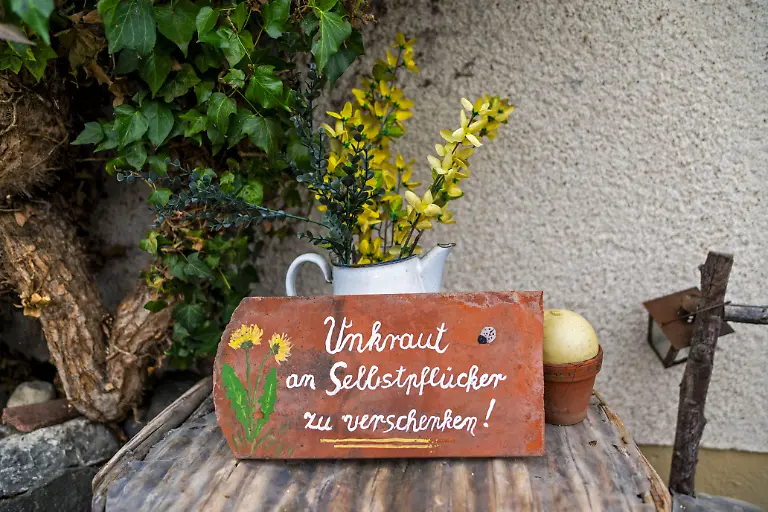 19-11-2025-Mindelheim-im-Unterallgaeu-im-Garten-steht-ein-Schild-Unkraut-an-Selbspfluecker-zu-verschenken-19-11-2025-Mindelheim-im-Unterallgaeu-19-11