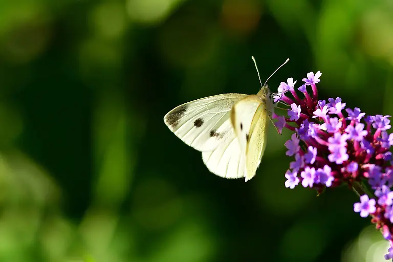 imago834810059