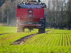 Hessen: Krieg im Nahen Osten: Landwirte in Hessen unter Preisdruck
