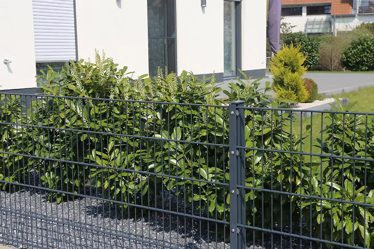 Gruener-Gitterzaun-Doppelstabmattenzaun-als-Grundstuecksbegrenzung-Green-lattice-fence-Double-mesh-fence-as-property-boundary