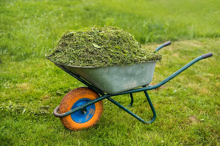 Wheelbarrow-full-of-grass-Garden-and-lawn-care-theme-Care-services-area