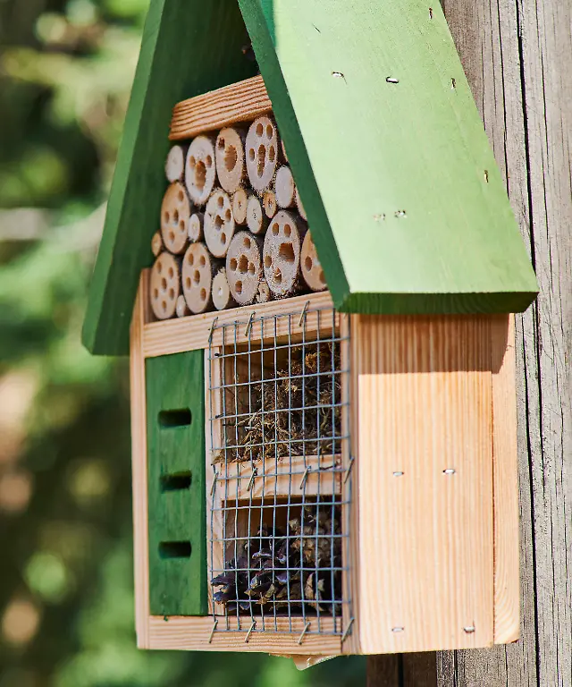 Insektenhotel-aus-Holz-mit-verschiedenen-Faechern-Hohlraeumen-Brutroehren-und-Einflugoeffnungen-Schraegdach-in-gruen-Hochformat-Naturschutz-09-Insect-hotel-made-of-wood-with-various-compartments-cavities-nesting-tubes-and-entrance-openings-pitched-roof-in-green-portrait-format-nature-conservation-09
