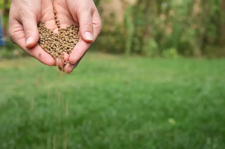 wiese-duengen-Bildverwendung-nur-mit-Urhebervermerk-Iordache-Magdalena-Shotshop-picture-alliance-Keine-Exlusivverkaeufe-moeglich