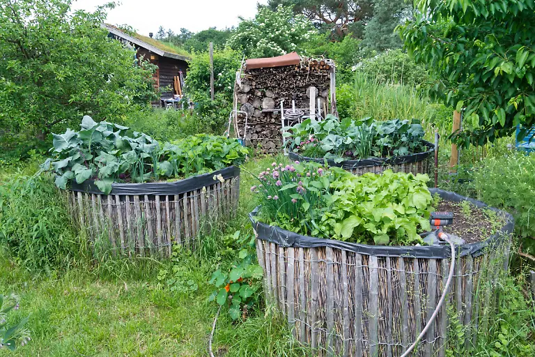 Selbstgebautes-Hochbeet-in-einem-Naturgarten