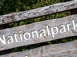 Nordrhein-Westfalen: Kreis nimmt neuen Anlauf für Nationalpark im Rothaargebirge