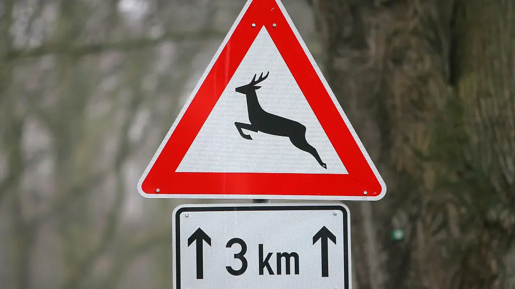 Diese-Verkehrsschilder-warnen-vor-besonders-unfallgefaehrdeten-Bereichen-durch-Wildwechsel