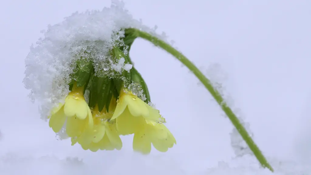 Die-Osterferien-beginnen-mit-ungemuetlichem-Wetter