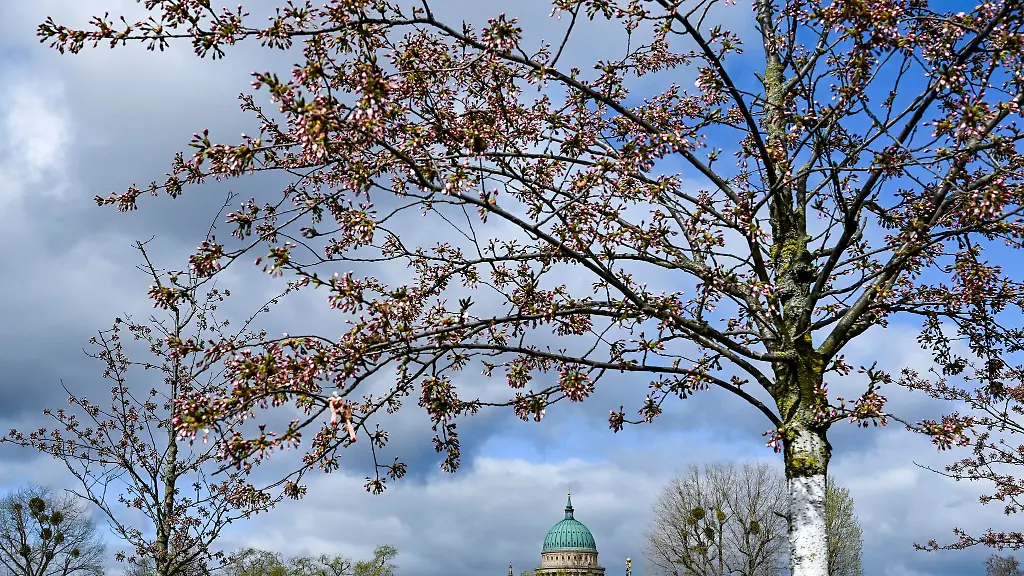 Wolken-ziehen-ueber-den-blauen-Himmel-der-Hauptstadtregion-In-den-naechsten-Tagen-sollte-man-auf-alle-Wetterlagen-vorbereitet-sein