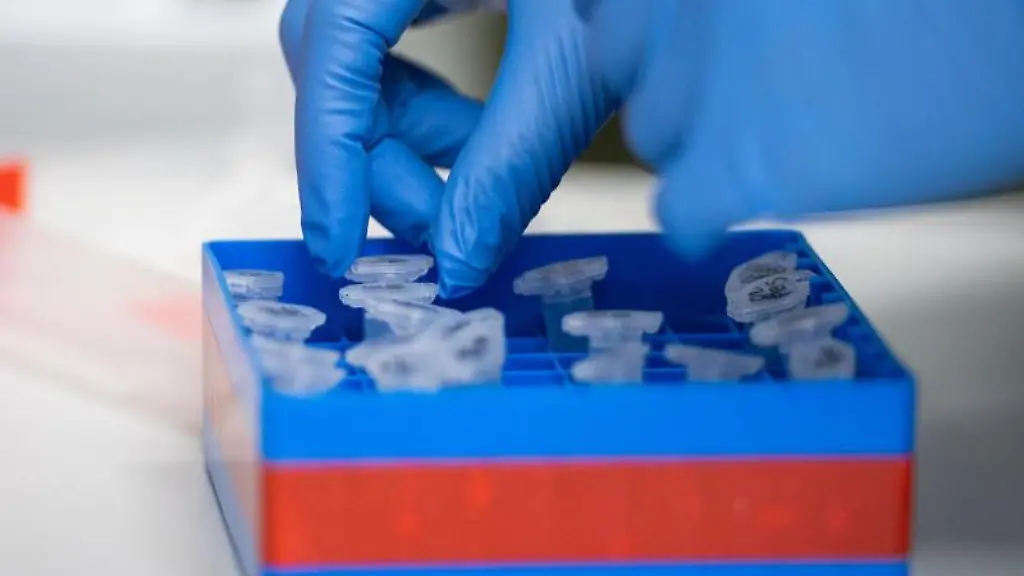 Eine-Virologin-untersucht-Proben-auf-das-Coronavirus