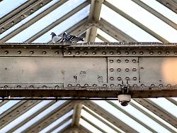 Biometrische Gesichtserkennung: Dobrindt wünscht sich KI-Kameras in deutschen Bahnhöfen