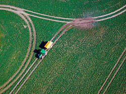 Weniger Geld aus Brüssel: Bericht: EU-Budget sieht für Deutschland dickes Minus vor