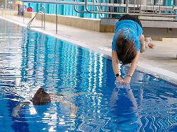 Hamburg & Schleswig-Holstein: KI im Schwimmbad - ein Kollege, der nie müde wird