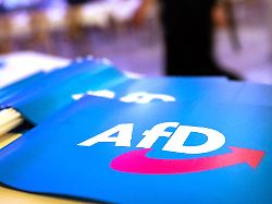 Bayern: AfD-Mann zündet eigenes Auto an - Parteiausschluss beantragt