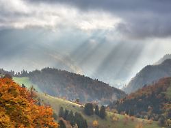 Vom Bleiben und Gehen: Der Wald lässt "Die Riesinnen" nicht los