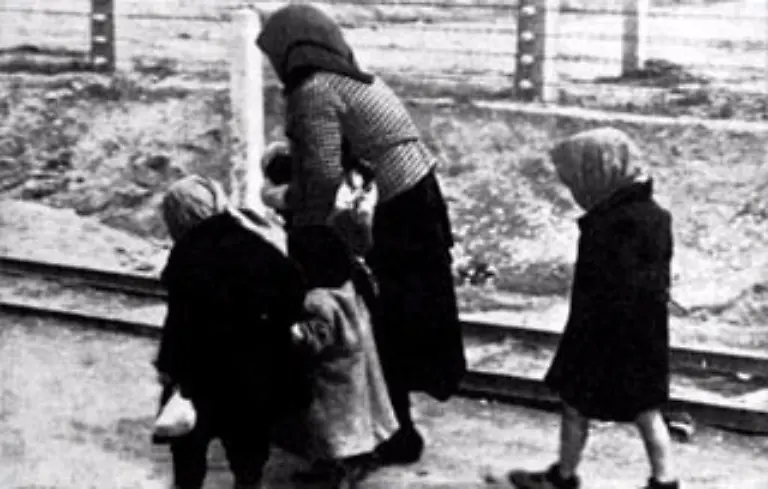 Wer-als-arbeitsunfaehig-selektiert-wurde-kam-sofort-in-die-Gaskammern