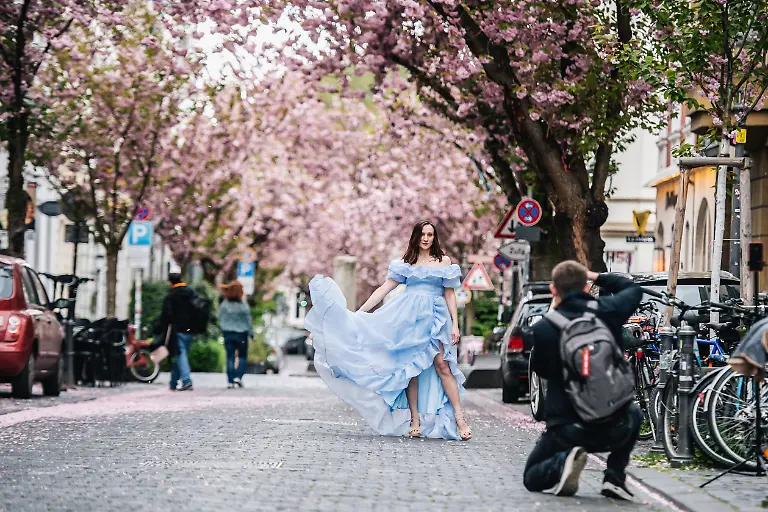 BONN-GERMANY-APRIL-13-Visitors-enjoy-the-cherry-blossom-season-in-the-old-city-streets-on-April-13-2025-in-Bonn-Germany-The-cherry-blossom-trees-cover-whole-streets-in-Bonn-and-attract-thousands-of-visitors-and-tourists-every-year-in-this-time-Hesham-Elsherif-Anadolu-ABACAPRESS