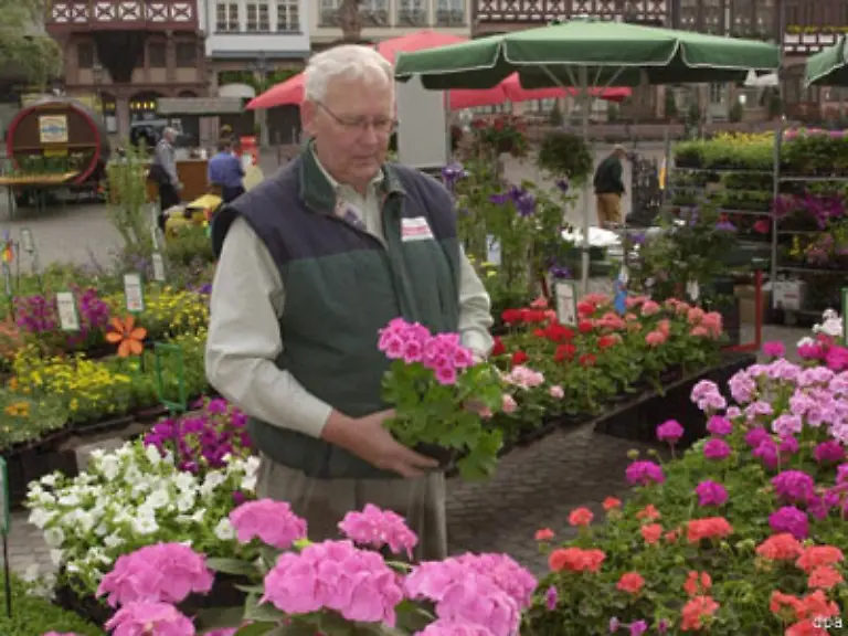 Fuer-Angestellte-mit-einfacher-Verkaufstaetigkeit-im-Blumen-und-Gartenbau-in-Hamburg-Bremen-Niedersachsen-und-Schleswig-Holstein-liegt-die-tarifliche-Bezahlung-bei-5-79-pro-Stunde