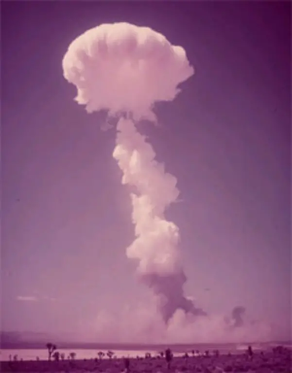 Die-weitaus-meisten-Mitglieder-im-Atomwaffensperrvertrag-sind-die-so-genannten-Atom-Habenichtse