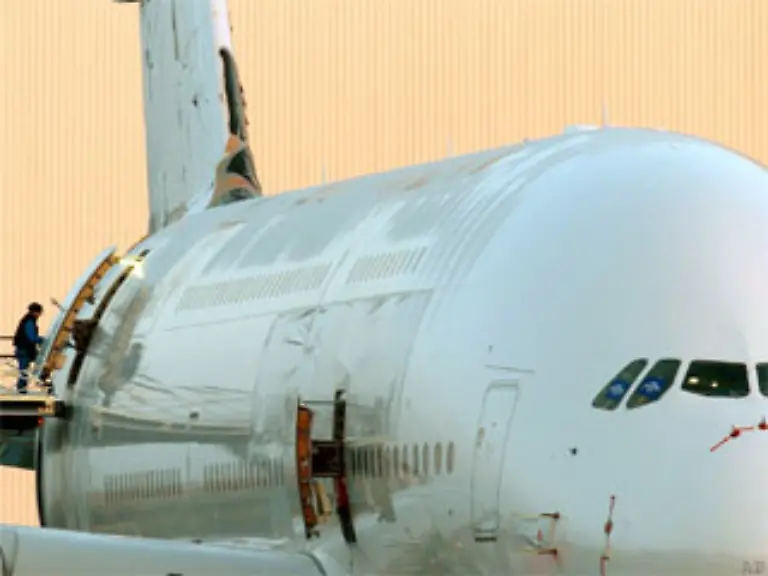 Als-erste-Fluggesellschaft-will-Singapore-Airlines-den-Wal-einsetzen