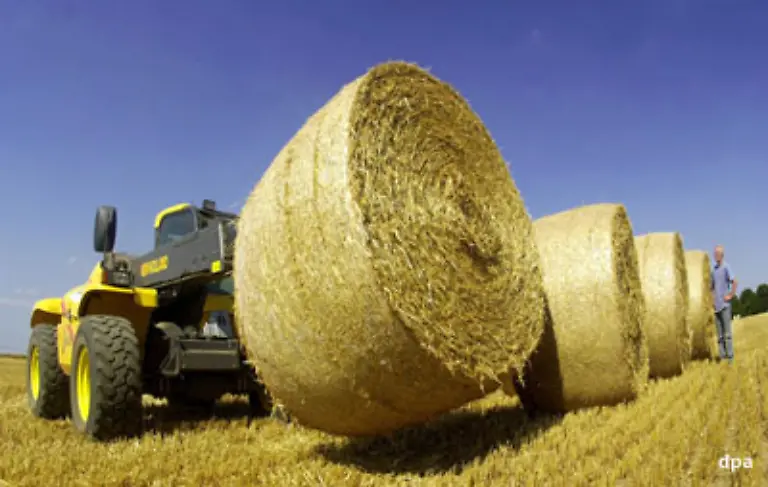Die-Steuer-von-9-Prozent-gilt-bei-landwirtschaftlichen-Produkten